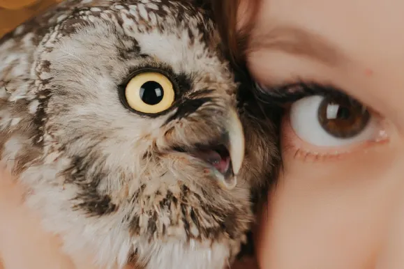 PlayFortuna Casino Supporto